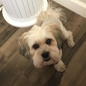 Meet your Posher, Kelsey